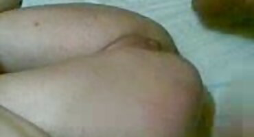 గుణాత్మకంగా ఫకింగ్ బస్టీ సెక్స్ తెలుగు వీడియోస్ కర్లీ షెల్మా