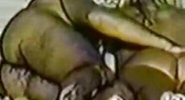 మంచి సెక్స్ వీడియోస్ ఇన్ తెలుగు ఫకింగ్ ములాటో ఫకింగ్ హాటీ