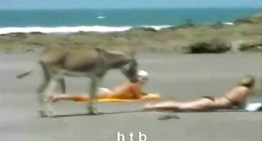 ఓక్ సెక్స్ వీడియోస్ కావాలి తెలుగులో