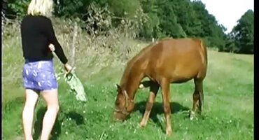 ఎస్పీ కట్టూరుపై తాజా సెక్స్ సెక్స్ వీడియోస్ తెలుగు