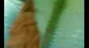 అత్యంత తెలుగు వీడియో సెక్స్ వీడియోస్ ఉద్వేగభరితంగా గాడిద లో బ్లాండ్ ఇబ్బంది పెట్టాడు