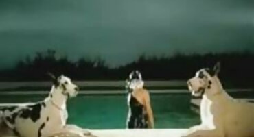 యాదృచ్ఛిక గై సౌందర్య సెక్స్ వీడియోస్ సౌందర్య వై